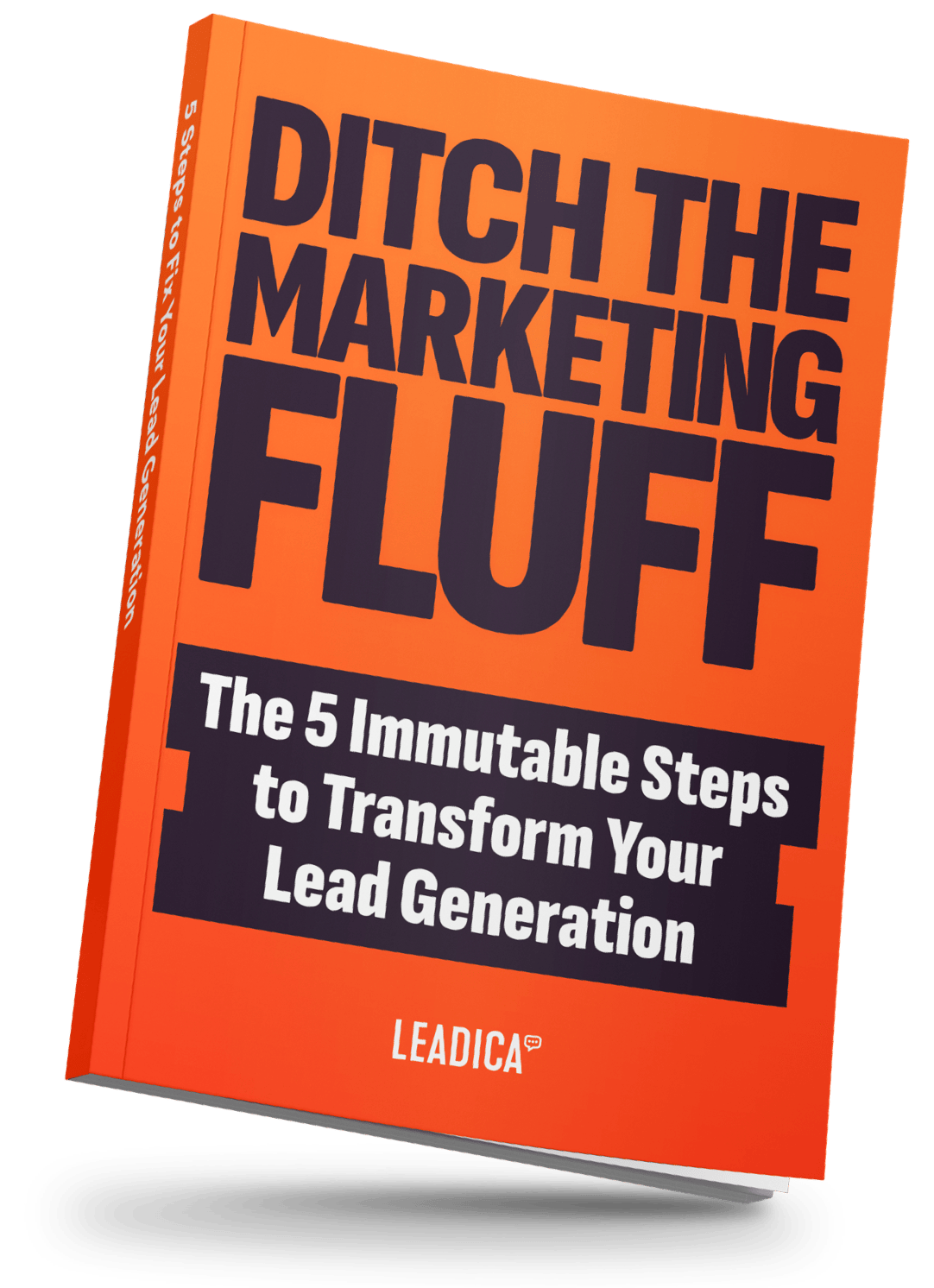 Ditch the Fluff eBook cover